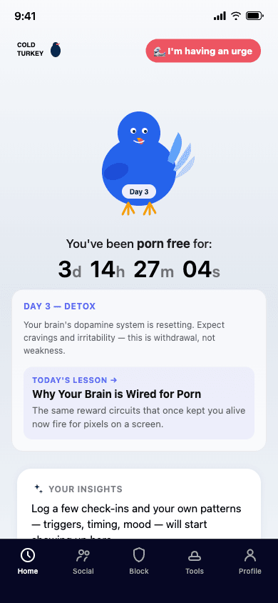 Cold Turkey home screen with a live porn-free streak counter